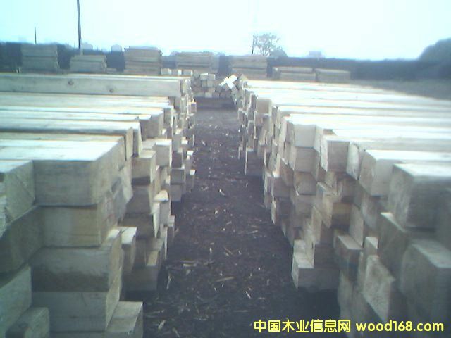 1��Ԕ����B