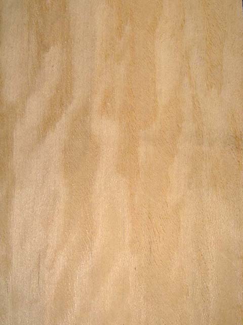 ���� N��Ԕ����B