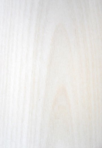 (피�)�ט�ľƤ china yunan birch(c