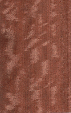 ��Ӱ������ľƤ(ֱ�y) Makore (Q)��Ԕ����B