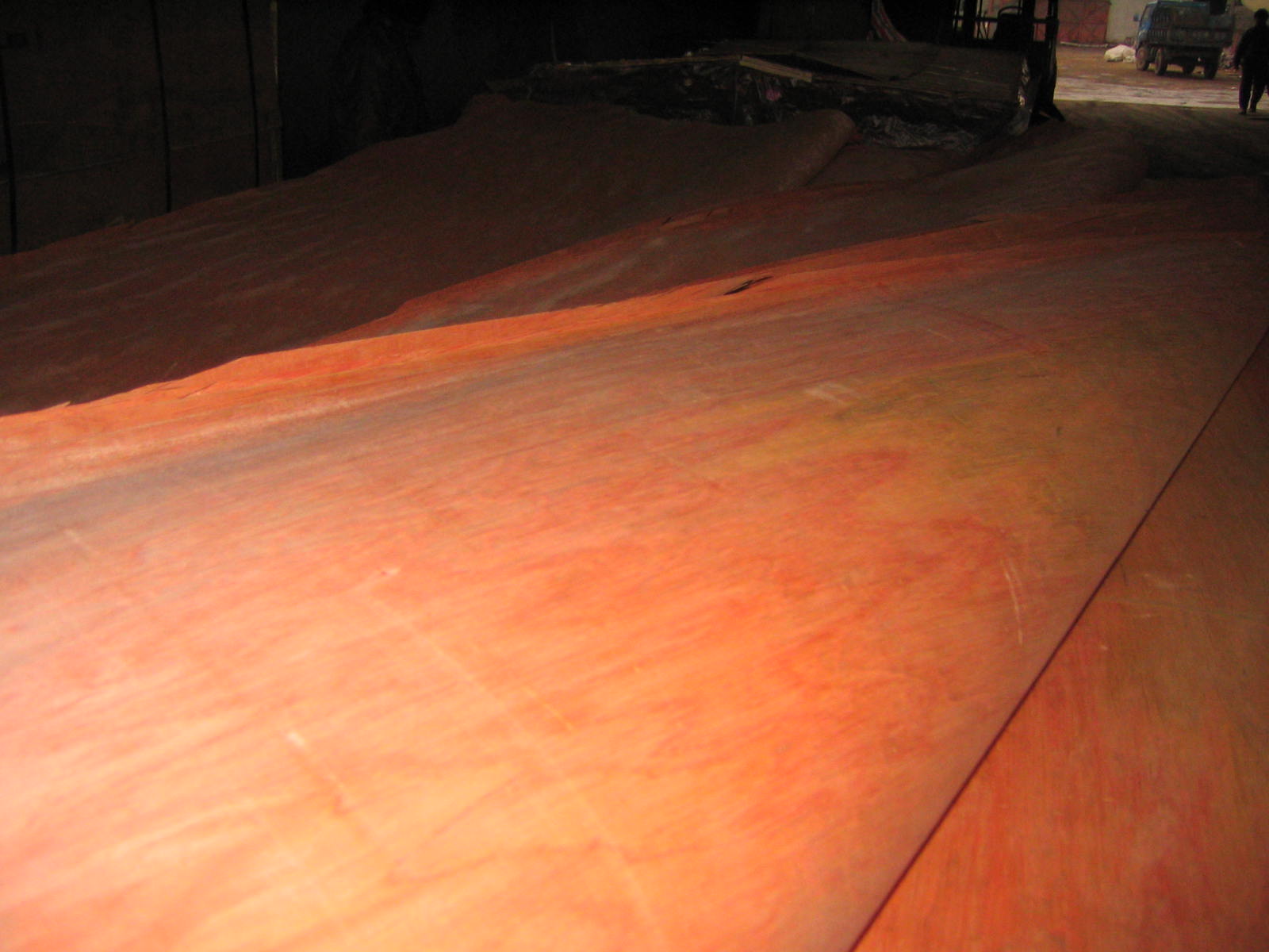 Bintangor veneer��Ԕ����B