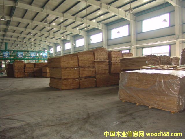 ��ľ�ΰ��Ԕ����B