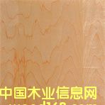 ��ľ�N����Ԕ����B