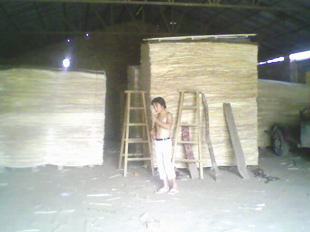 ��ľ���N���eƤ��Ԕ����B