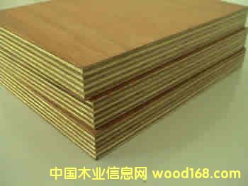 ���Ӱ��Ԕ����B