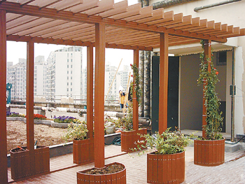 ��ľ���^��Ԕ����B