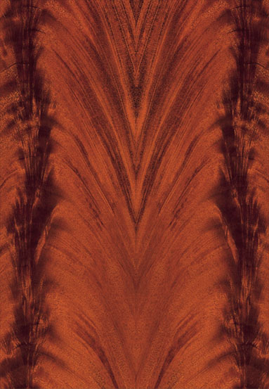 ����-�һ�о��ľ�N���