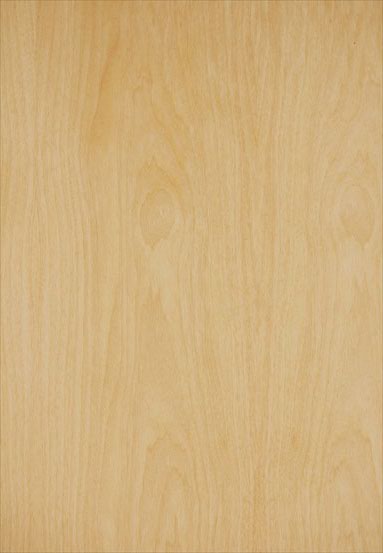 ����-��ʿ�m�����N����Ԕ����B