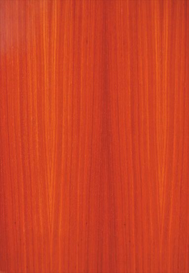 ����-�ض��N���