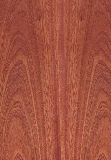 ����-�Ͳ�������