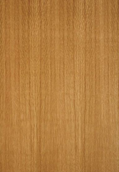 ����-�����t������