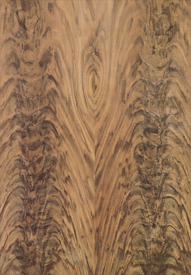 ����-���Ҳ�ľ�N���