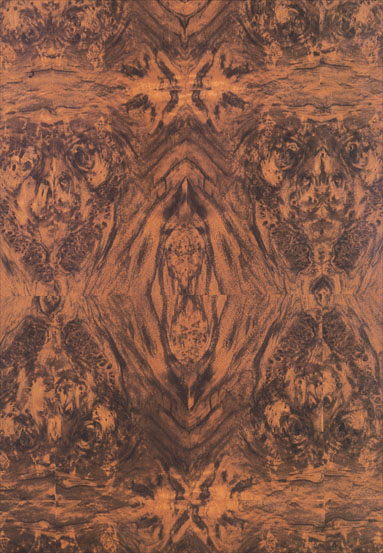 ����-���Ҙ�������