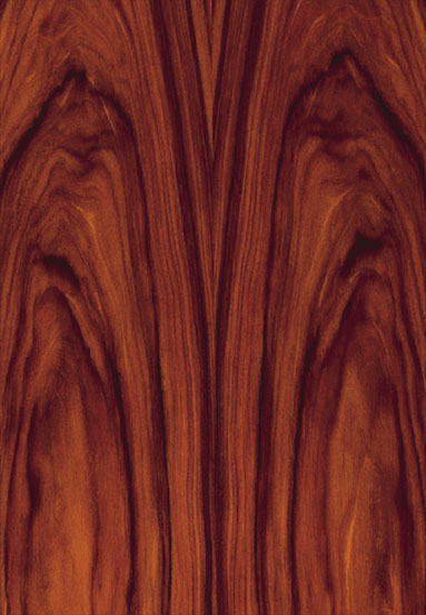 ����-������֦�����Ԕ����B