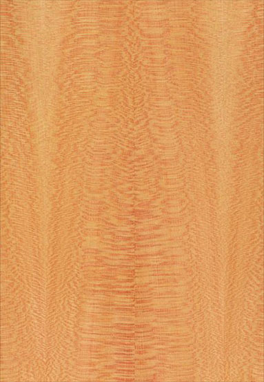 ����-��˹�N���