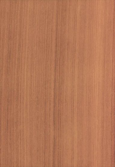 ����-��ľ�N���