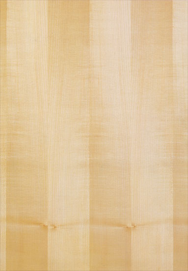 ����-��ľ����