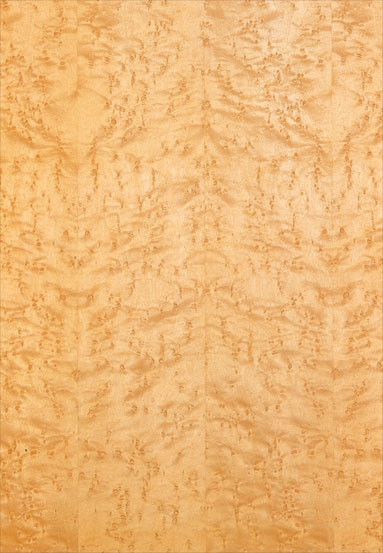 ����-��ľȸ������