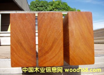 ӡ��ľ��Ԕ����B