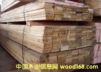 ���ؿ�˹ľ��Ԕ����B