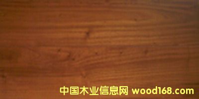 ��̩�ֵ�Ԕ����B