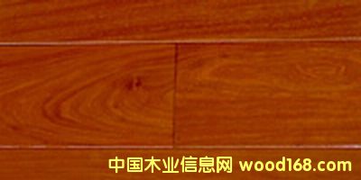 �t̴��(�t̴��ɫ����Ԕ����B