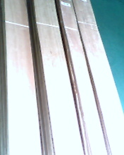 ľƤ��߅�l��Ԕ����B