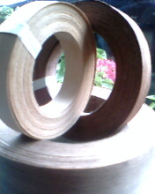 ľƤ��߅�l��Ԕ����B