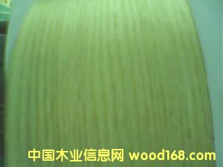 ��ľ��Ԕ����B