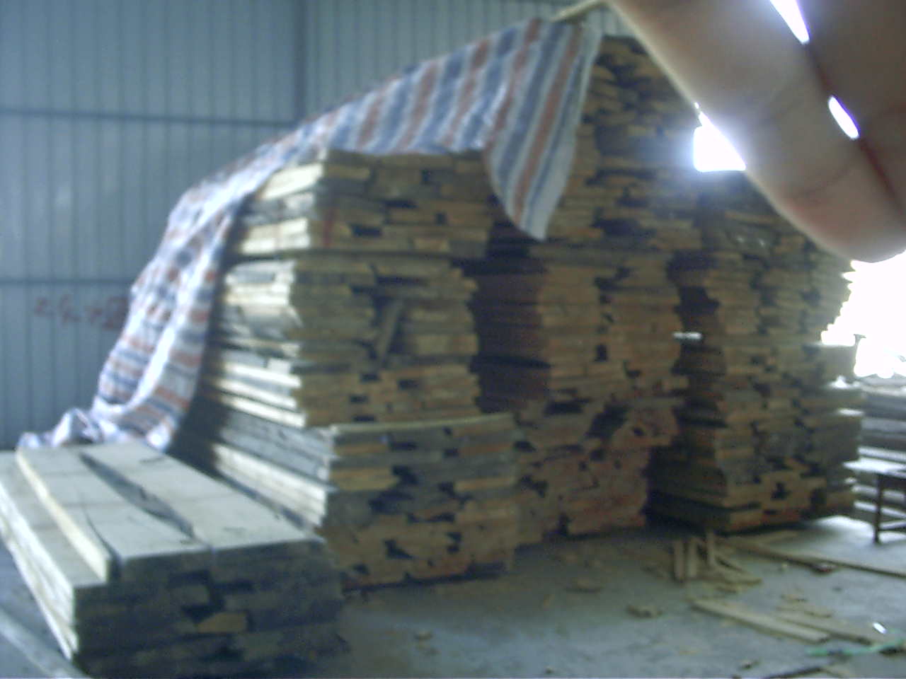 ��ľ�ɰ�ĵ�Ԕ����B