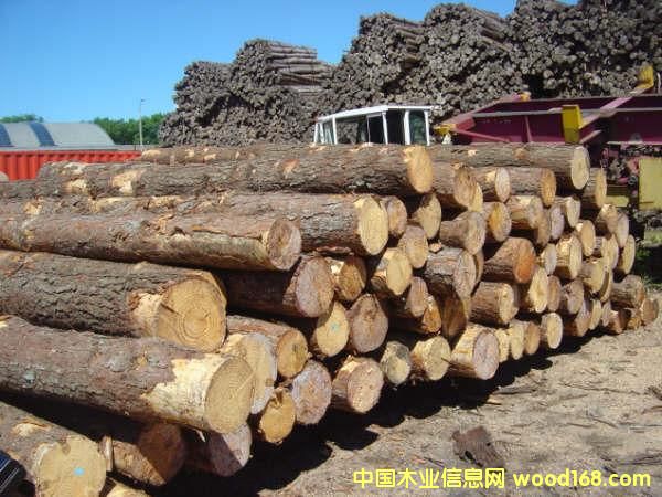 ��ľԭľ��Ԕ����B