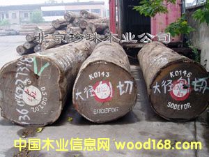 ����u�����е�Ԕ����B