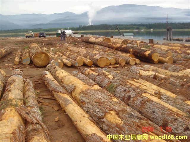 �Fɼ��Ԕ����B