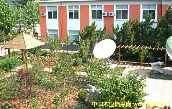 ���@�aƷ��Ԕ����B