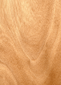 �W�������һ�о����Ԕ����B