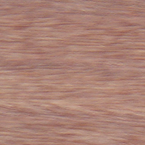 �ذ�ľƤ��Ԕ����B