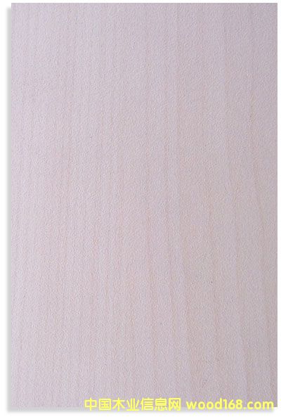 �ח�ľ��Ԕ��(x��)��B