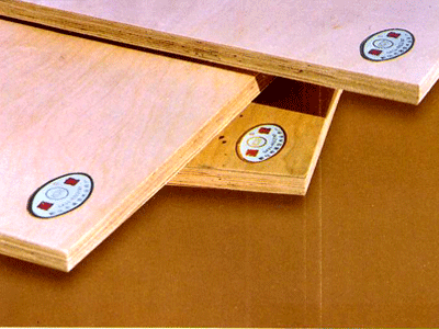 ����ģ���Ԕ����B