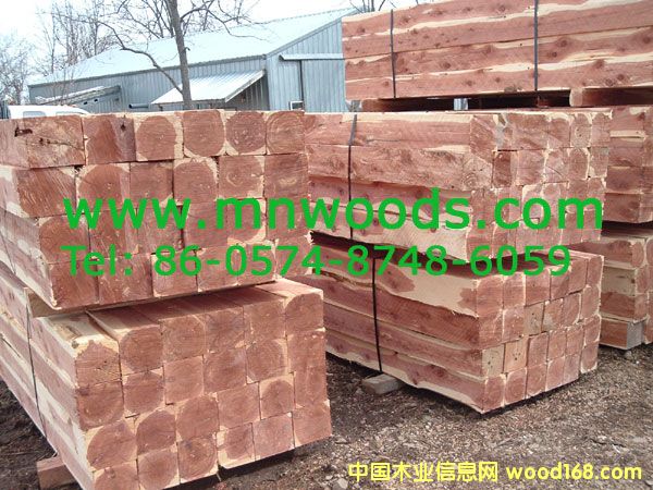 �������t��ɼ��Ԕ����B