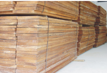 �W�޲ġ����޲ġ����޲ġ�������