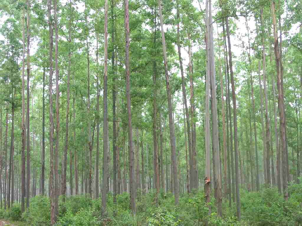 �c���鿴���Ŵ�DƬ