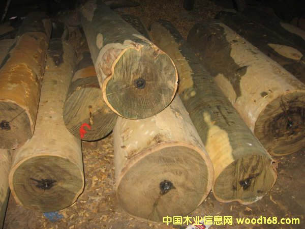 �G̴��Ԕ����B