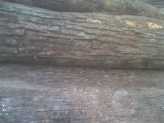 ��ľA����Ԕ����B