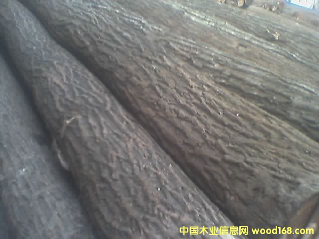 �ľ��Ԕ����B