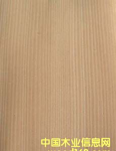 �Fɼ/��ɼľƤ(ֱ�y)hemlock(Q)