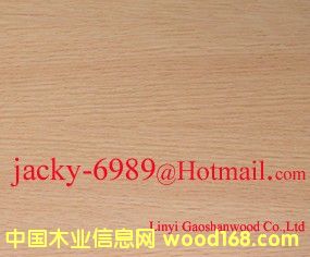 �t���N����Ԕ����B