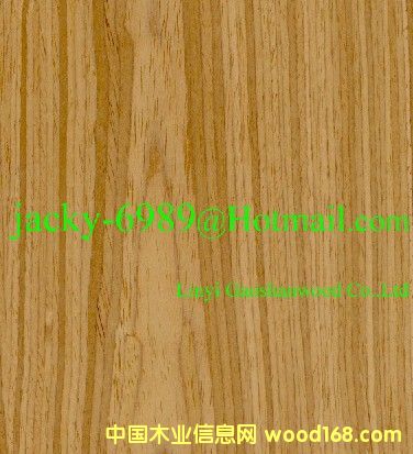 ��ľ�Ļ���Ԕ����B