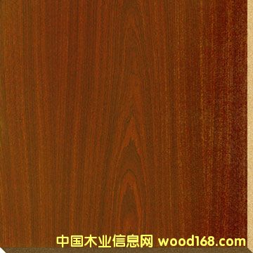 �����谷���w���Ԕ����B