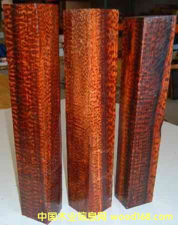 �߼yľ��Ԕ����B