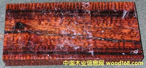 ��ľ��Ԕ����B